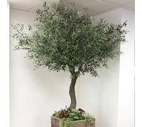 Simulación de árbol de oliva artificial Alto árbol de seda de oliva falsa grandes ramas de oliva grandes y frutas para la sala de la oficina sala de estar decoración del hogar(1m/39.4in/3.3ft)