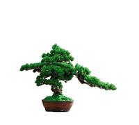 Simulación de árboles Falsos de acogedores Adornos de Pino compañía Zen Sala de Estar Decoraciones de Porche Falsos Accesorios para el hogar Plantas Falsas Interiores (pequeños)