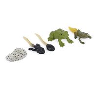 Simulación de Ciclo de Crecimiento de Ranidae, Modelo de Estatua de Animal de Simulación de Plástico Exquisito, Juguete para Fines Educativos