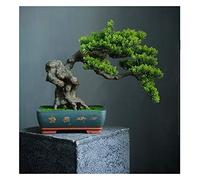 Simulación de Grado de árboles Artificiales Bienvenido a Tree Tree Bonsai Hotel Office Tea Varios Live Hall Decoración Extrema Artículos Hermosos Plantas en macetas