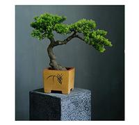 Simulación de Grado de árboles Artificiales Bienvenido a Tree Tree Bonsai Hotel Office Tea Varios Live Hall Decoración Extrema Artículos Hermosos Plantas en macetas
