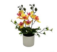 Simulación Phalaenopsis Orquídea 6 flores en maceta bonsái artificial para decoración de oficina en casa, hojas realistas resistentes a la decoloración, 26 x 17 x 17 cm (amarillo)