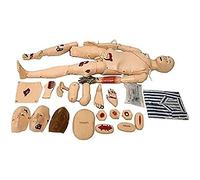 Simulador de atención al Paciente de demostración, maniquí de enfermería de PVC de 170CM, Modelo Humano anatómico médico con órganos vitales