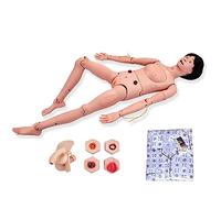 Simulador de atención al Paciente, Maniquí de enfermería Femenino, Modelo anatómico Humano Multifuncional de tamaño Real Maniquí de enfermería Femenino de Cuerpo Completo