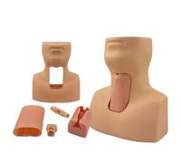 Simulador de cricotirotomía, modelo de traqueotomía, entrenador quirúrgico de vías respiratorias para práctica de emergencia clínica y gestión avanzada de las vías respiratorias