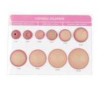 Simulador de dilatación cervical, modelo de enseñanza de educación ginecológica para parteras y doulas, maniquí de dilatación de 1 a 10 cm para aprendizaje de nacimiento