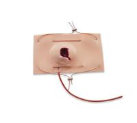Simulador de heridas de bala (GSW): modelo realista de taponamiento de heridas de silicona para el control de hemorragias, formación en «Stop The Bleed» y TCCC, kit de simulación médica