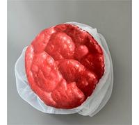 Simulador de modelo de formación en partería, simulador de parto de feto/cordón umbilical/placenta, for comunicación y educación de pacientes de obstetricia y ginecología.(A)