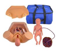 Simulador De Parto, Modelo Anatómico Pélvico De Tamaño Real, Molde Didáctico Para El Parto Y La Maternidad. Incluye Modelos De Útero, Saco Amniótico, Pelvis Y Placenta Umbilical Para La Enseñanza De
