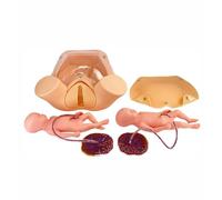 Simulador de parto modelo de pelvis para demostración del parto, modelo anatómico de enseñanza de maternidad con útero de bebé