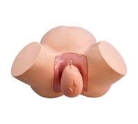 Simulador de parto profesional con feto flexible, modelo anatómico de PVC for demostración de parto y entrenamiento en distocia. Modelo de órgano