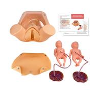 Simulador de parto profesional para formación de matronas - Modelo realista de formación de parto con 2 bebés, placenta y cordón umbilical, diagnóstico prenatal y prácticas de parto