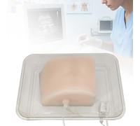 Simulador de Punción Hepática Ecoguiada, Modelo de Entrenamiento PTCD con Conducto Biliar y Sistema Vascular, Fantoma de Biopsia Hepática para Educación Médica y Clínica