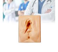 Simulador de sutura de episiotomía, modelo realista de práctica de sutura vulvar, herramienta de entrenamiento reutilizable para estudiantes de medicina en ginecología y enseñanza clínica