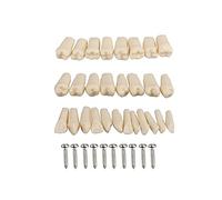 Simulador dental Maniquí Phantom Head para entrenamiento de práctica Estudiar Typodont Modelos con dientes extraíbles (32 piezas de dientes)