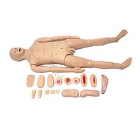 Simulador Humano de Modelo anatómico, Modelo de maniquí de enfermería, simulador avanzado de atención al Paciente con función Completa, para exhibición de Estudio en el Aula de Ciencias, tamaño NATU