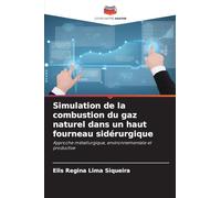 Simulation de la combustion du gaz naturel dans un haut fourneau sidérurgique