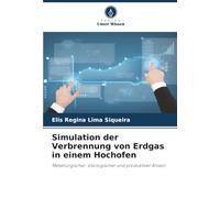 Simulation der Verbrennung von Erdgas in einem Hochofen: Metallurgischer, ökologischer und produktiver Ansatz