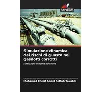 Simulazione dinamica dei rischi di guasto nei gasdotti corrotti: Simulazione in regime transitorio