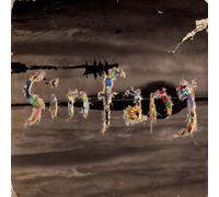 Sin Fang - Landslide/the Only Living Boy in New York [Vinilo]