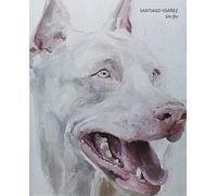 Sin fin. Santiago Ydáñez (Catálogos)