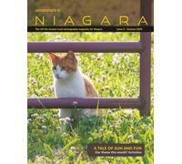 SiN Magazine Issue 2: Spring and Summer 2025 (Somewhere In Niagara)