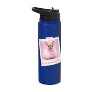 Sin miedo a un desafío Stainless Steel Insulated Water Bottle