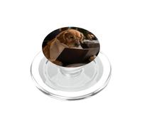 Sin vergüenza Golden Retriever Hamburguesa Comida Amante PopSockets PopGrip para MagSafe