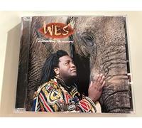 SINAMI THE MEMORY * WES
