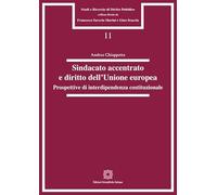 Sindacato accentrato e diritto dell'Unione europea. Prospettive di interdipendenza costituzionale (Studi e ricerche di diritto pubblico)
