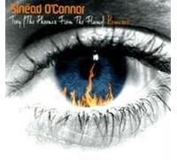 Sinead O'Connor - Troy Remixes [Vinilo]