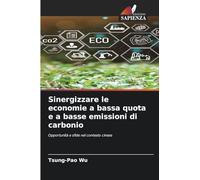 Sinergizzare le economie a bassa quota e a basse emissioni di carbonio: Opportunità e sfide nel contesto cinese