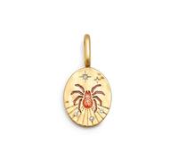 SINGULARU - Charm Mystic Araña. Latón con Baño en Oro de 18 Kt y Circonita. Joyas Para Mujer.
