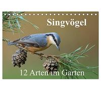 Singvögel - 12 Arten im Garten (Tischkalender 2026 DIN A5 quer), CALVENDO Monatskalender: Kalender mit 12 künstlerischen Porträts häufiger Singvögel in unserem Garten
