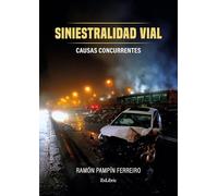 Siniestralidad vial. Causas concurrentes
