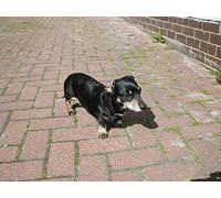 Sink The Bismarck! [DVD]