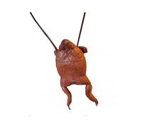 Sinknap Coin Purse Unisex Zipper Closure Faux Leather Crossbody Men Women Change Wallet for Daily Wear