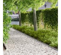 Sinkzol 10 piezas 102 x 4 cm de acero con recubrimiento en polvo plateado borde de jardín borde de arriate borde de bancal de plantas sistema de ranuras para jardín delantero y jardín orden y