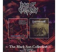 Sins Of Omission - The Black Sun Collection: the Creation/Flesh on Your Bones