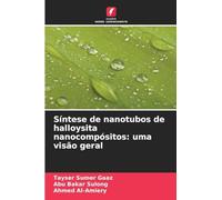 Síntese de nanotubos de halloysita nanocompósitos: uma visão geral