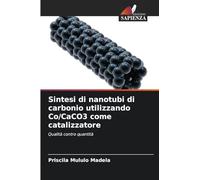 Sintesi di nanotubi di carbonio utilizzando Co/CaCO3 come catalizzatore