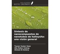 Síntesis de nanocompuestos de nanotubos de halloysita: una visión general
