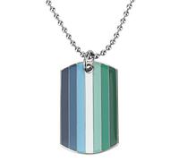 Sinwinkori Progress - Collar con colgante de placa de perro Agender Rainbow Asexual Transgénero MIL Bisexual Pansexual Philadelphia Nonbinary Sun Set Lesbian Demiboy Dog Tag Collar, Metal de alta