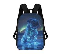 Sinyumoney Mochila Escolar Impreso 3D Para Niños CoolCatNumeroDos Bolsas De Libro, Bolsas De Viaje Escolar De Gran Capacidad Para Niños/Estudiantes/Adultos, Pug In The Aurora Borealis, 17"