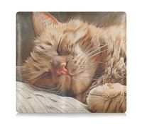 siphylline A Lazy Cat - Tarjetero de piel sintética para registro de automóvil y seguro de coche, perfecto para conductores, propietarios de automóviles, remolques, motocicletas y barcos, Un gato