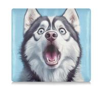siphylline Funda de piel con diseño de perro Husky siberiano con diseño de caricatura para registro de coche y tarjeta de seguro, funda esencial para cualquier coche, camión, motocicleta, remolque o
