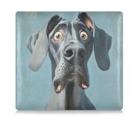 siphylline Guantera de piel sintética de dibujos animados con texto en inglés "Great Dane Dogs Fear Fear - Organizador de tarjetas de identificación y tarjetas de contacto clave"
