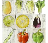 SIPLIV Bonito marcador de libros acrílico para estudiantes, marcadores translúcidos, accesorios estéticos, 10 marcadores de verduras