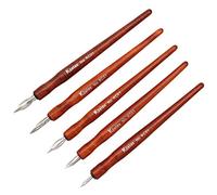 SIPLIV Redwood - Juego de bolígrafos profesionales de manga para dibujo de cómics, 5 unidades