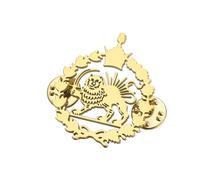 SIPURIS Broche esmaltado con bandera de león y sol para mujeres y hombres, broche de solapa con signo histórico de Irán, broche de sol persa/león iraní, 0.82*1.18in, Acero inoxidable, Sin piedra